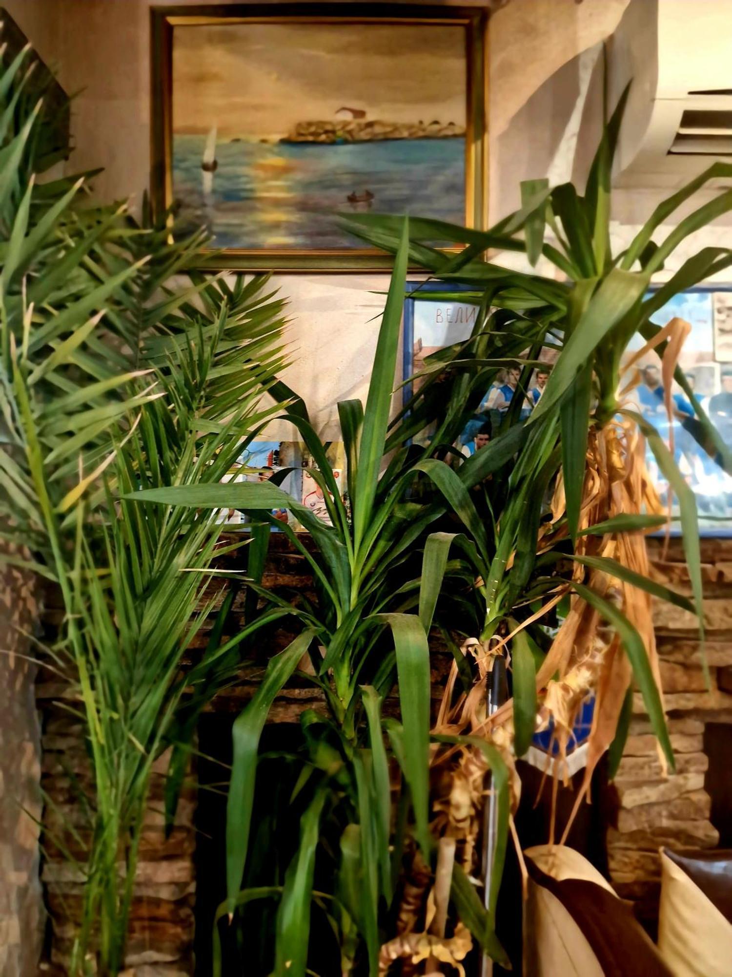 Family Hotel Four Seasons Tsarevo Luaran gambar